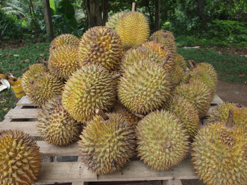 frutas exoticas
